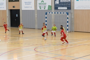 _MG_2803-Avec accentuation-Bruit.jpg